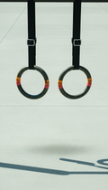 Steel Dip Bars Modular Duo